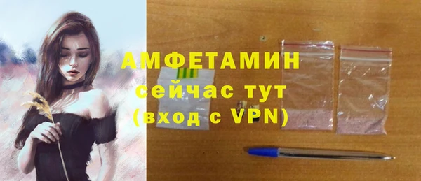 молекула духа Бронницы