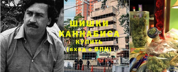 гидропоника Бородино