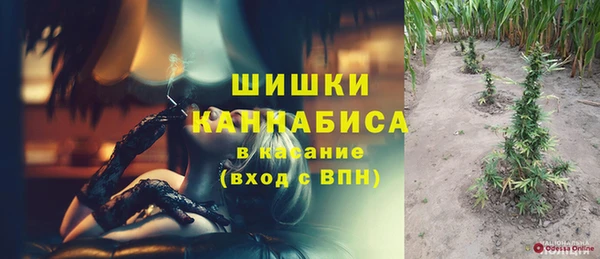 СК Волосово
