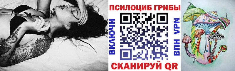 Псилоцибиновые грибы прущие грибы Дмитров