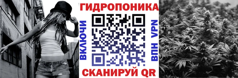 закладки  Дмитров  даркнет какой сайт  Канабис ГИДРОПОН 